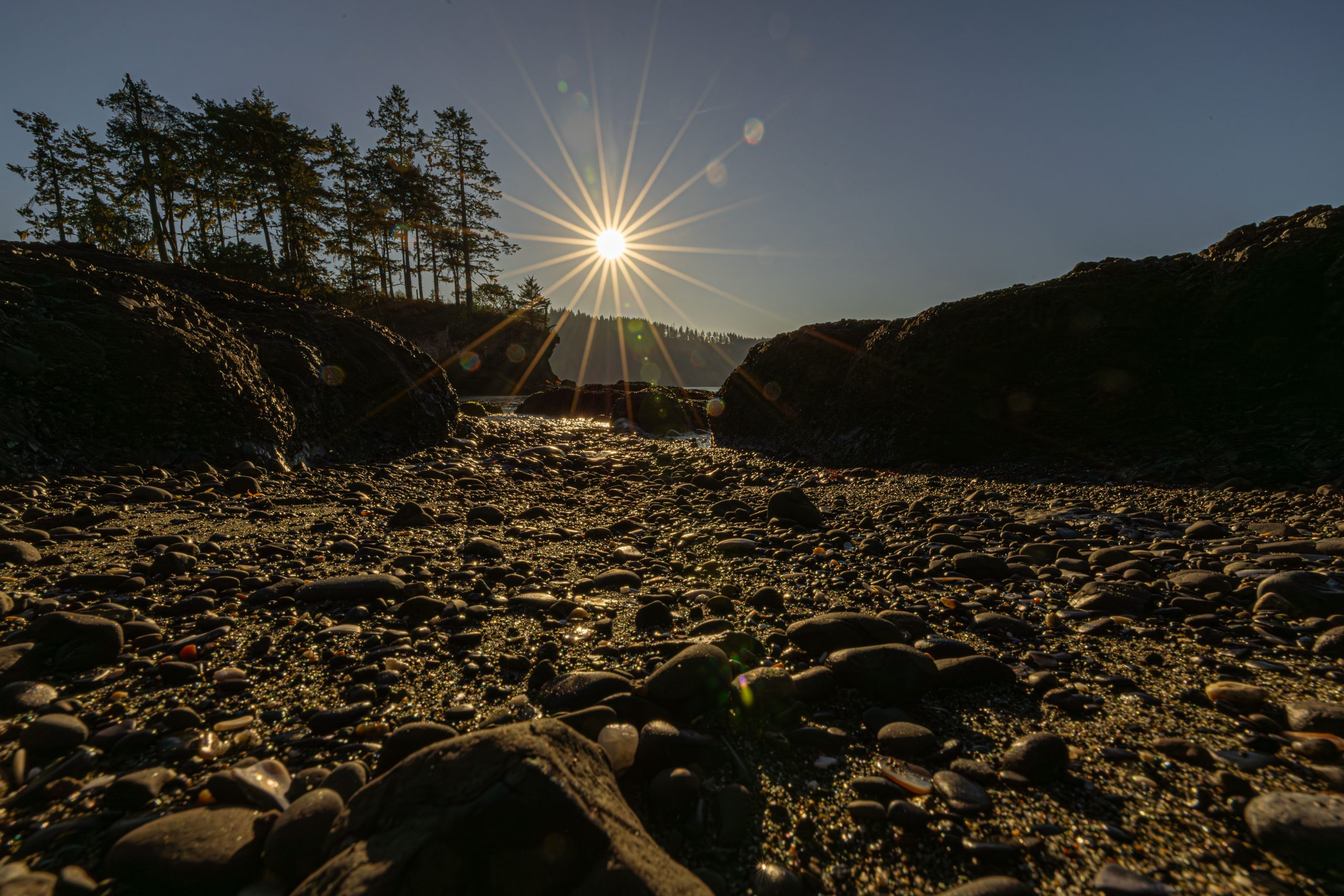 Olympic Peninsula Photographer Captures the Soul of the Pacific Northwest in Cinematic Portfolio Film