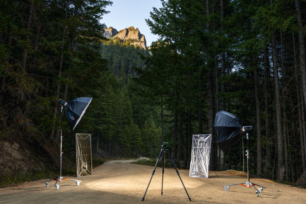 Field session, Olympic Peninsula. Light, forest, and story in motion.