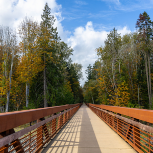 Autumn Forest Footbridge Trail
